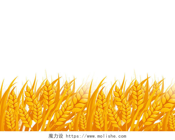 九月你好金色黄色插画卡通秋天秋季小麦稻谷水稻麦田png素材